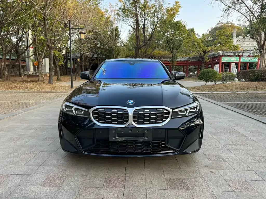 BMW 3 Series 2023 из CN, фото 6