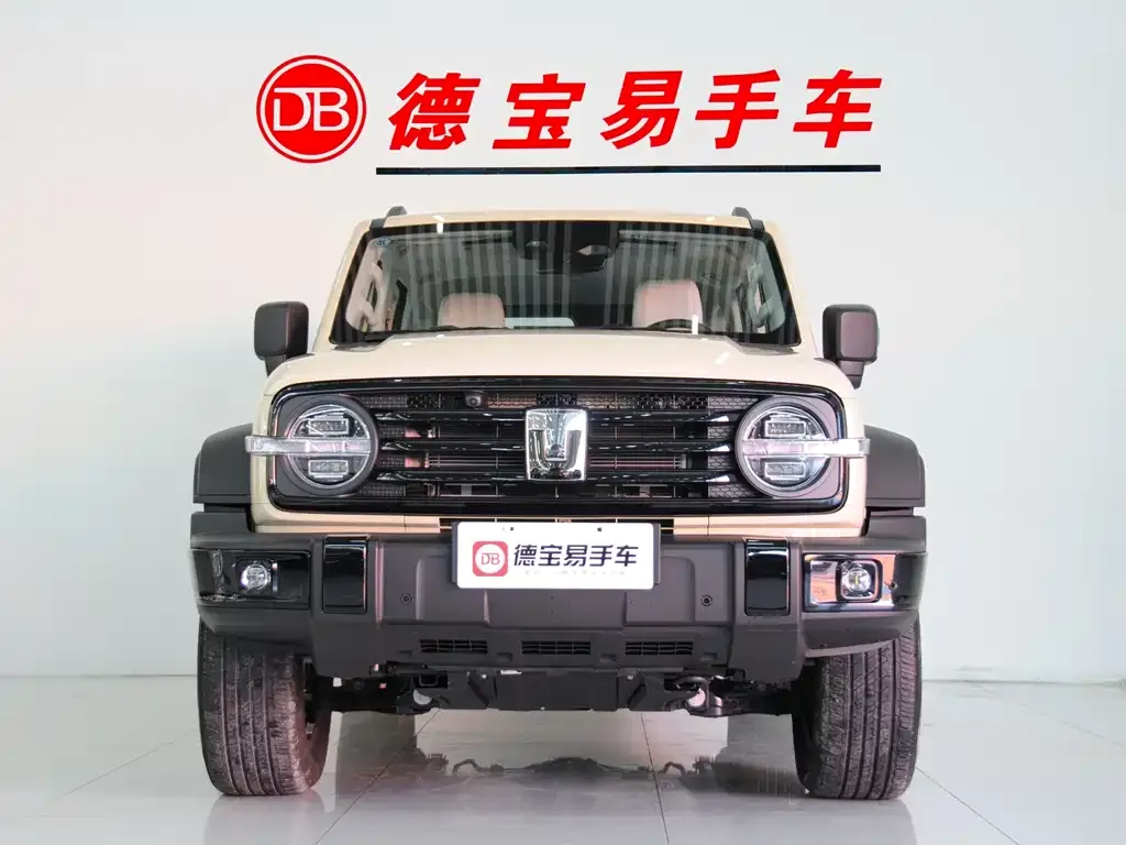 Tank 300 New Energy 2025 из CN, фото 8