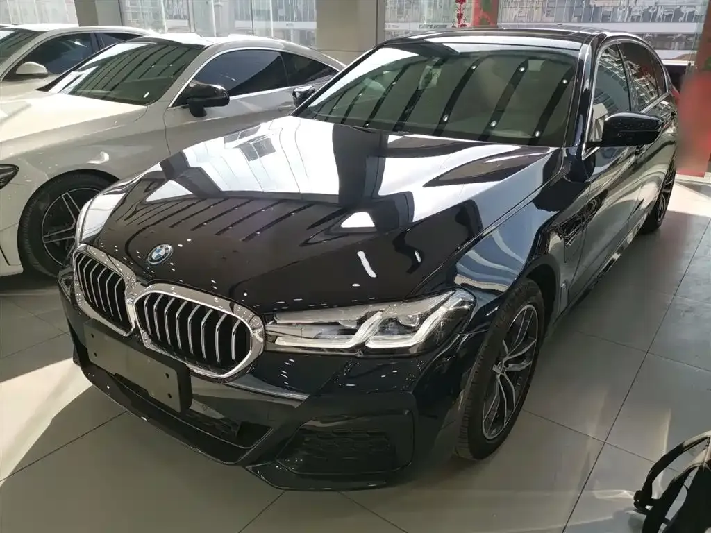BMW 5 Series New Energy 2022 из CN, фото 4