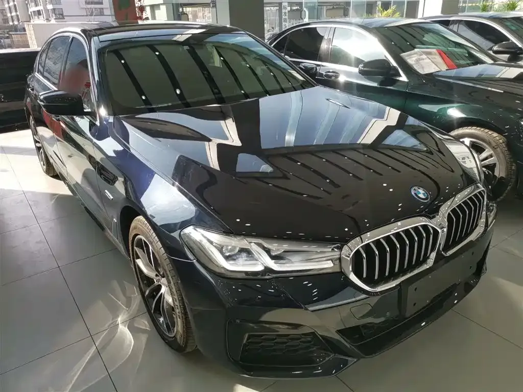 BMW 5 Series New Energy 2022 из CN, фото 10