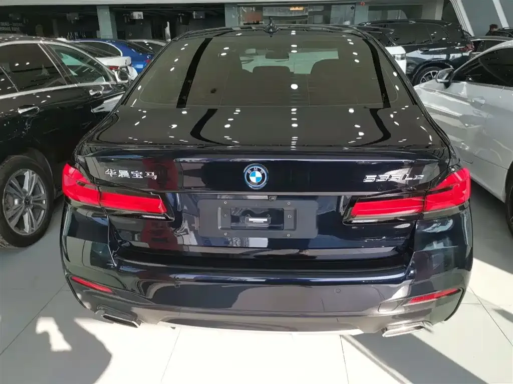 BMW 5 Series New Energy 2022 из CN, фото 2