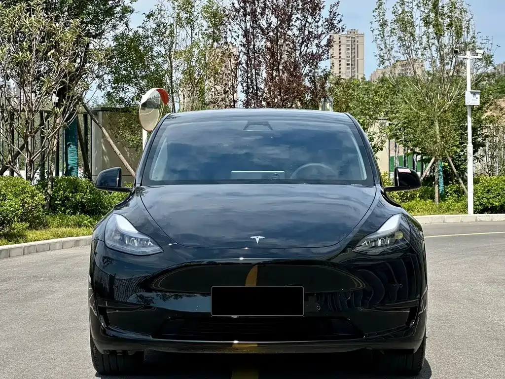 Tesla Model Y 2024 из CN, фото 9