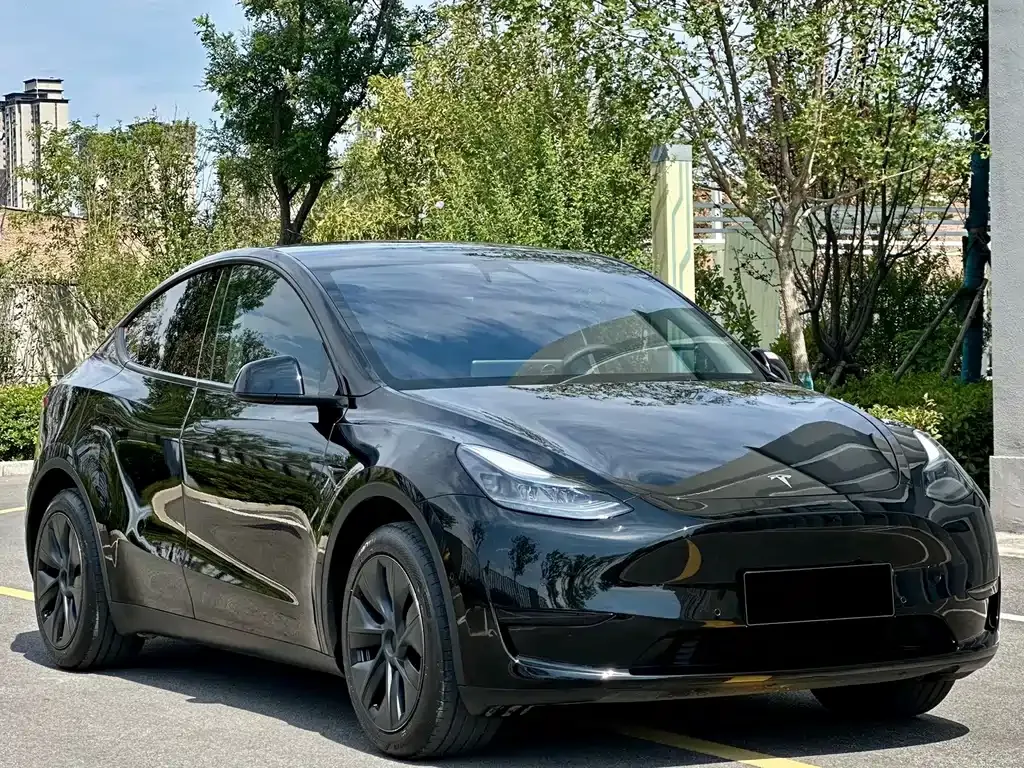 Tesla Model Y 2024 из CN, фото 7