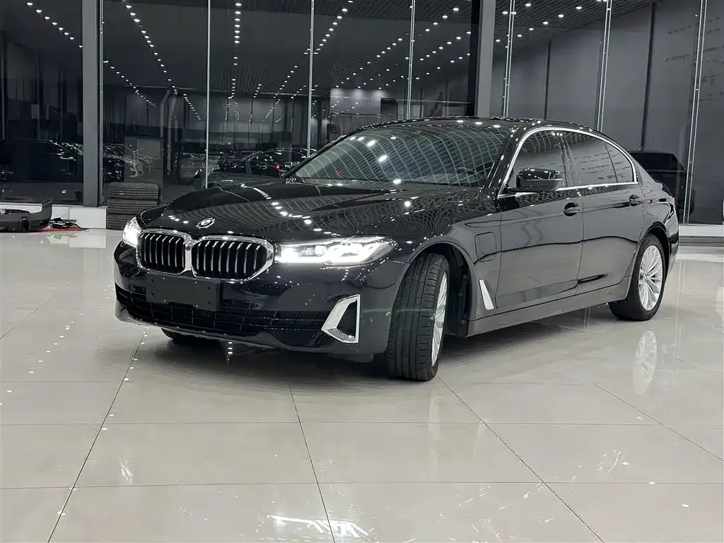 BMW 5 Series New Energy 2021 из CN, фото 1