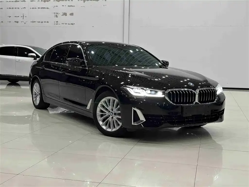 BMW 5 Series New Energy 2021 из CN, фото 4