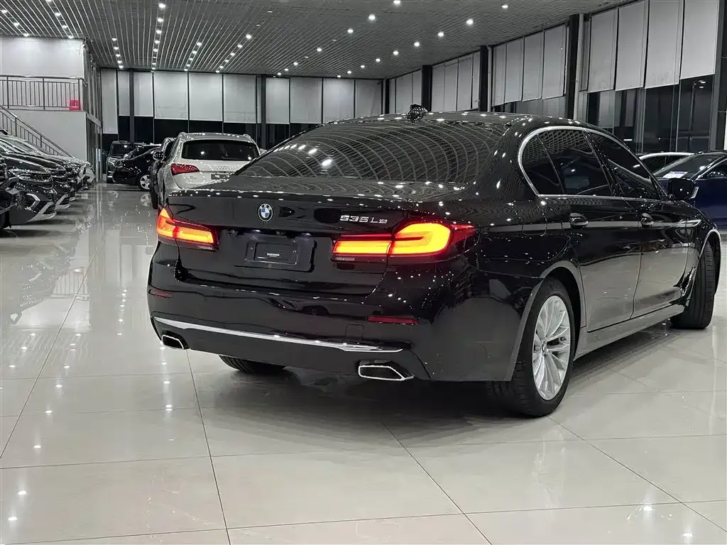 BMW 5 Series New Energy 2021 из CN, фото 7