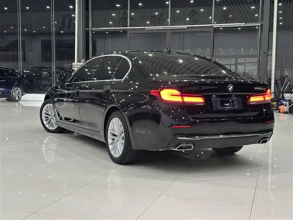 BMW 5 Series New Energy 2021 из CN, фото 6