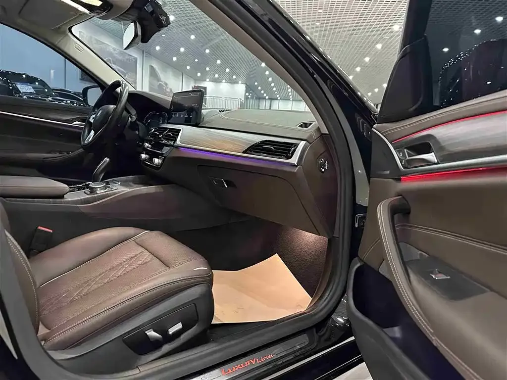 BMW 5 Series New Energy 2021 из CN, фото 8