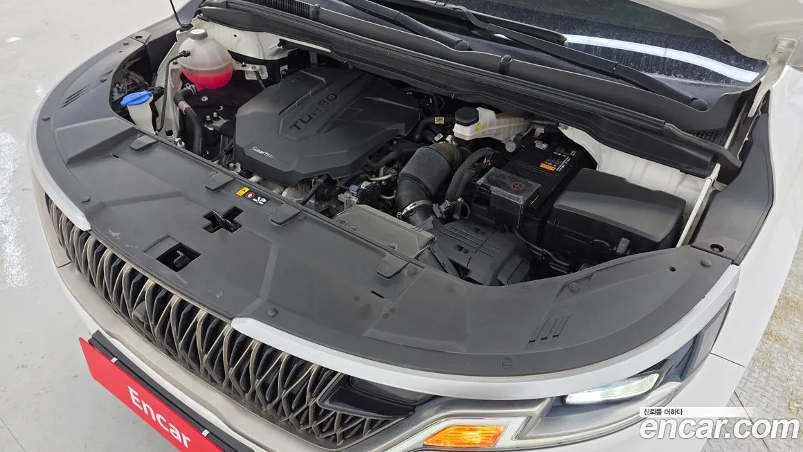 [object Object] Canival 2022 из KR, фото 6