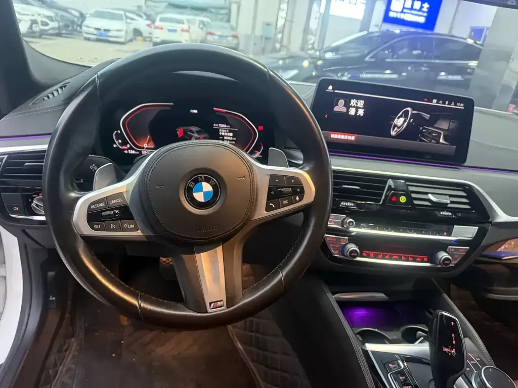 BMW 5 Series 2022 из CN, фото 6