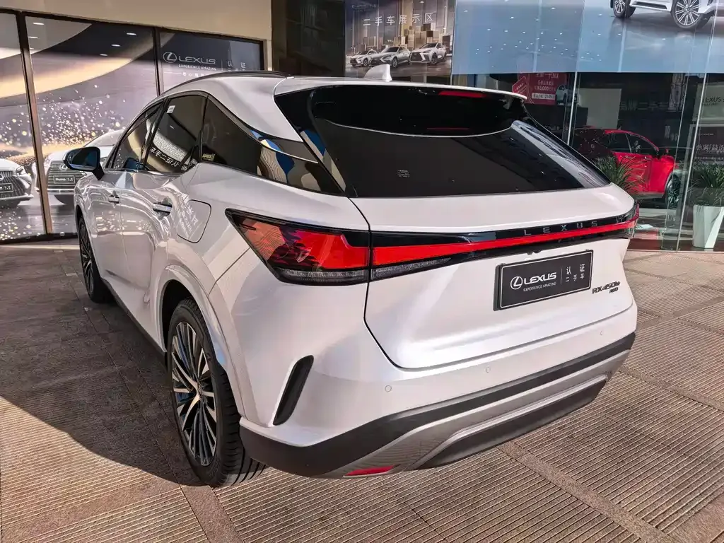 Lexus RX New Energy 2023 из CN, фото 8