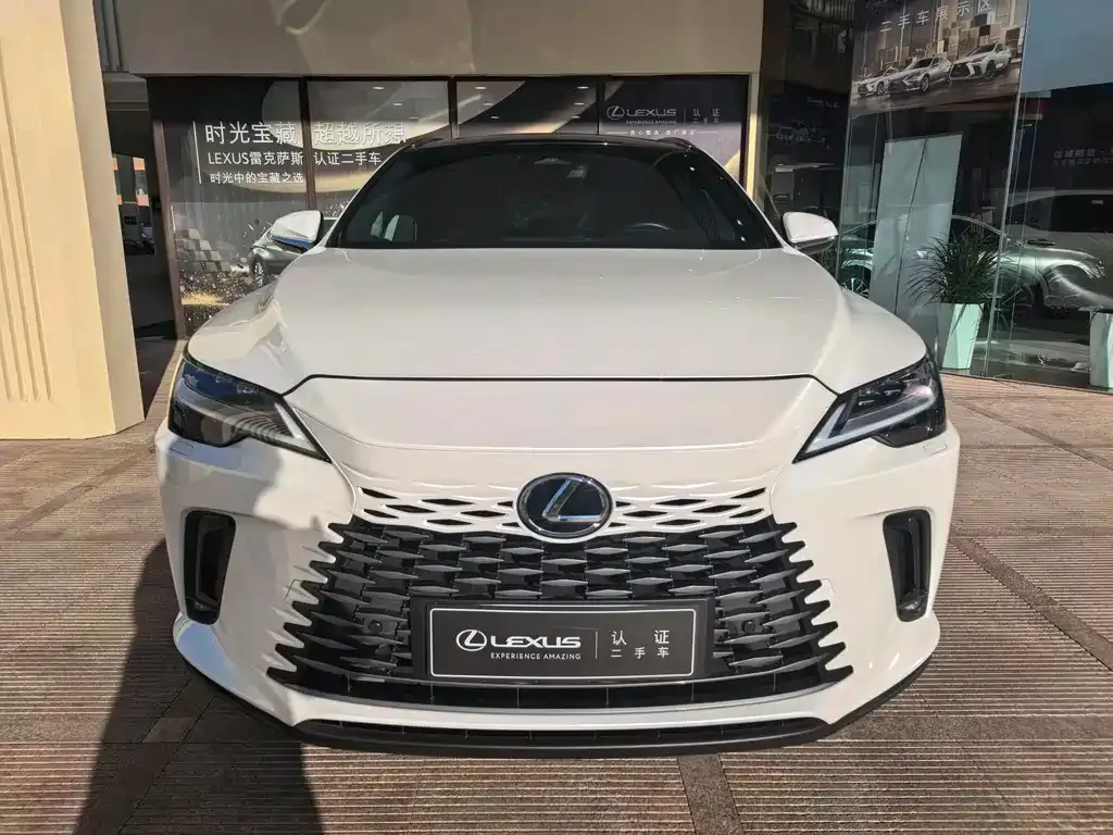 Lexus RX New Energy 2023 из CN, фото 6