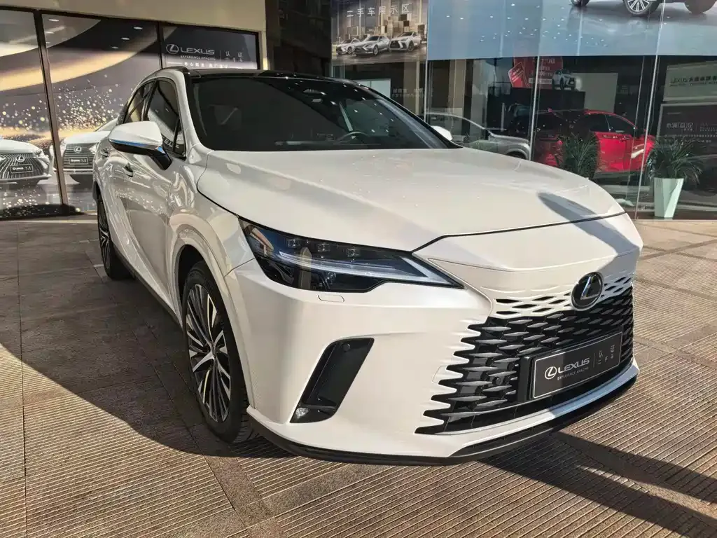 Lexus RX New Energy 2023 из CN, фото 7
