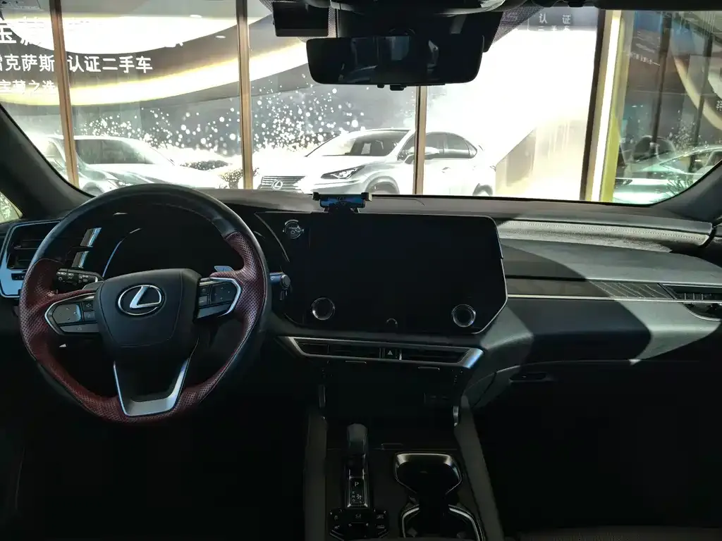 Lexus RX New Energy 2023 из CN, фото 3