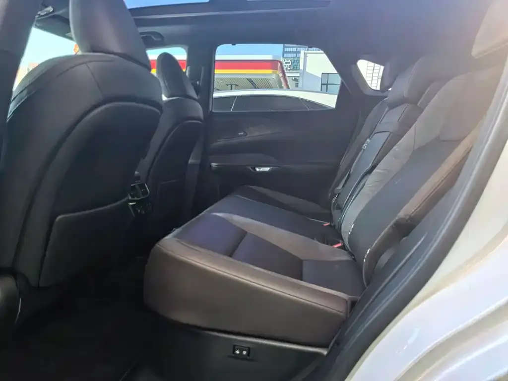 Lexus RX New Energy 2023 из CN, фото 2