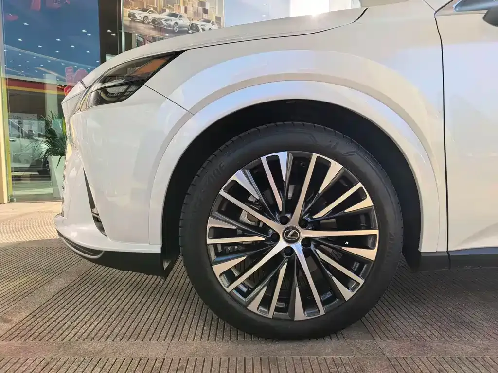 Lexus RX New Energy 2023 из CN, фото 5