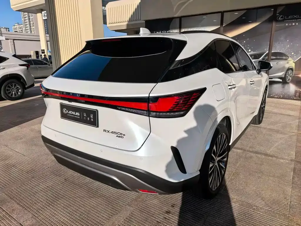 Lexus RX New Energy 2023 из CN, фото 9