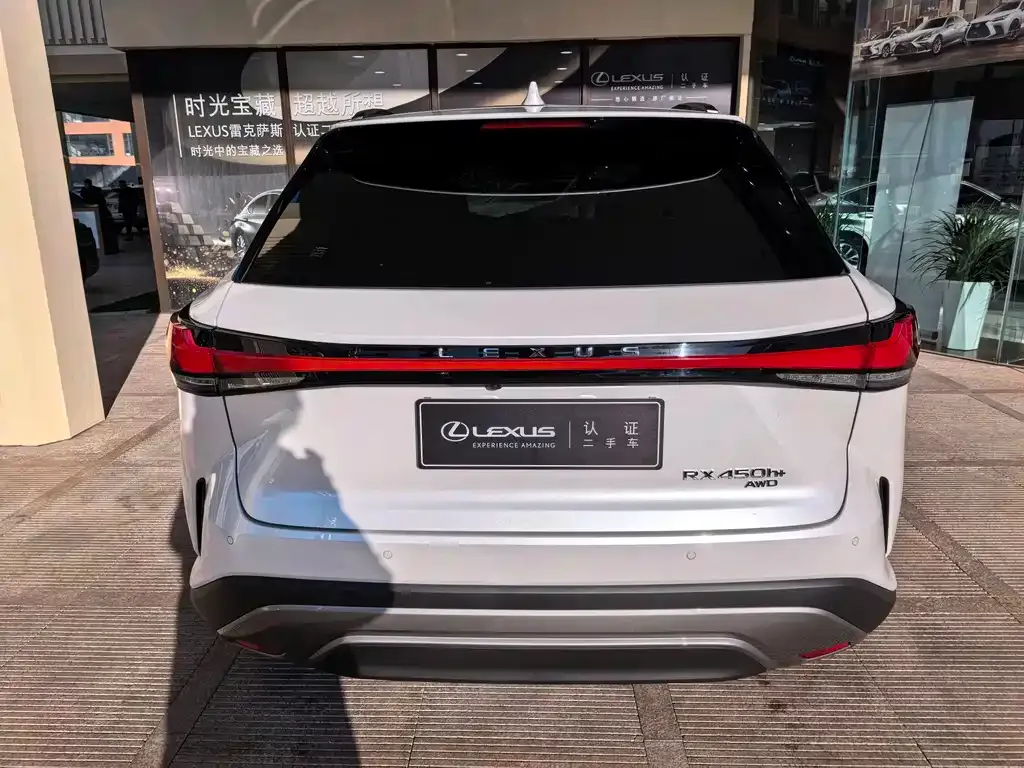 Lexus RX New Energy 2023 из CN, фото 10