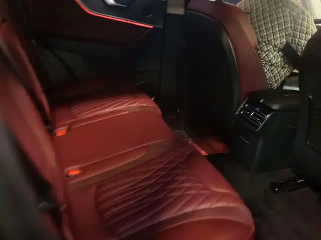 Hongqi HS5 2024 из CN, фото 9