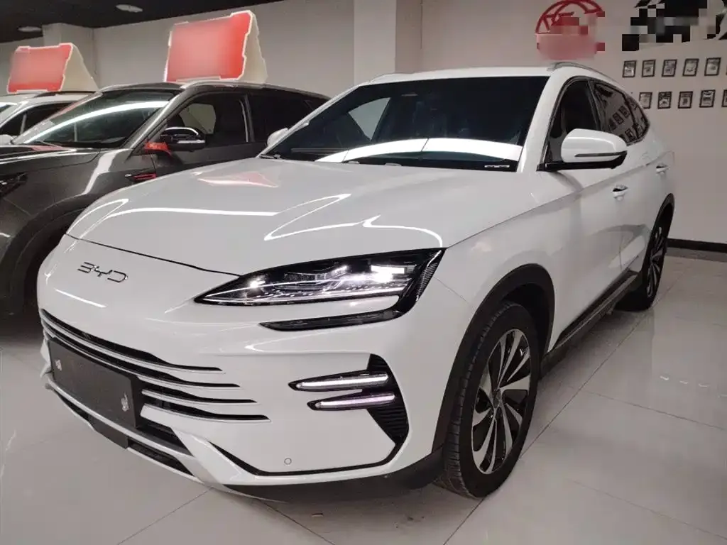 BYD PLUS New Energy — фото 2