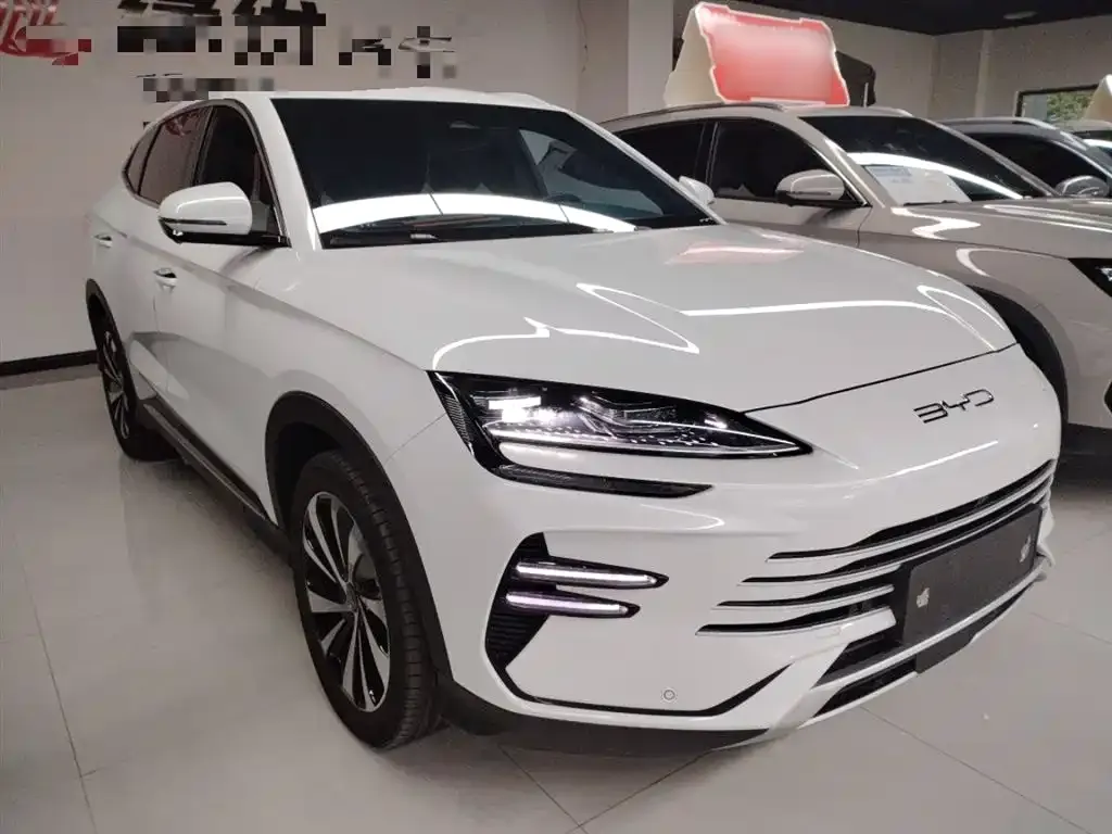 BYD PLUS New Energy — фото 3