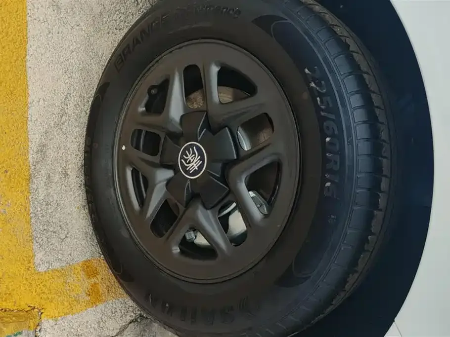 BYD Qin PLUS 2025 из CN, фото 5