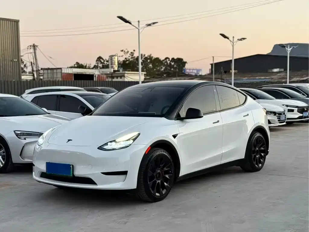 Tesla Model Y 2022 из CN, фото 1