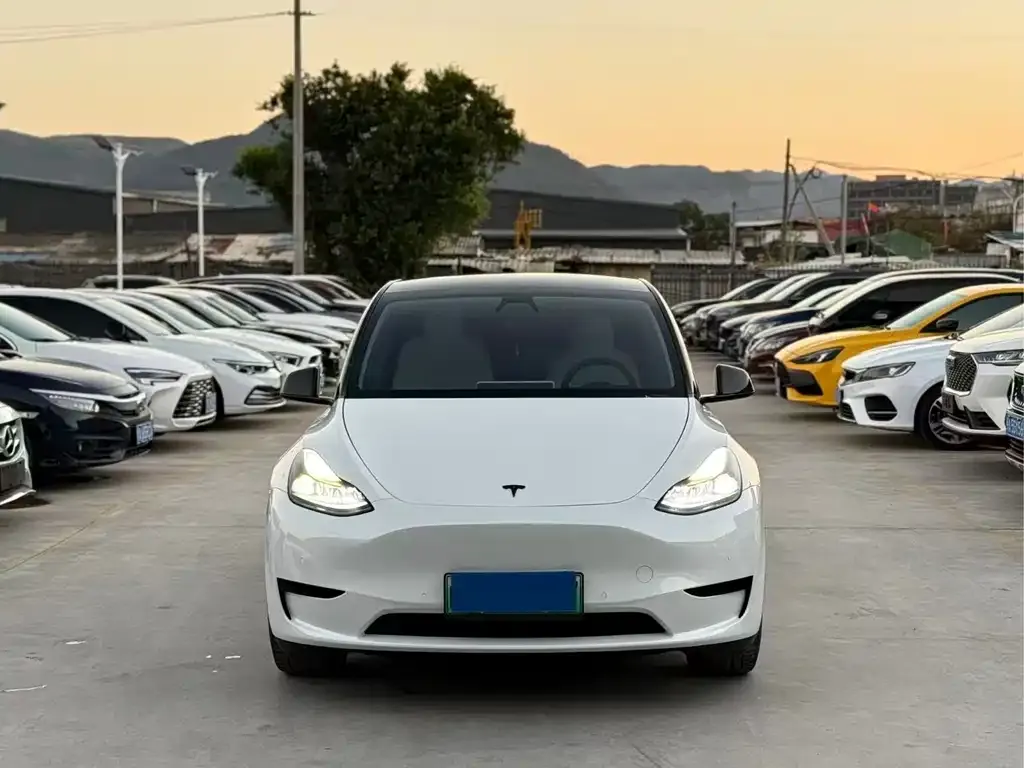 Tesla Model Y 2022 из CN, фото 10