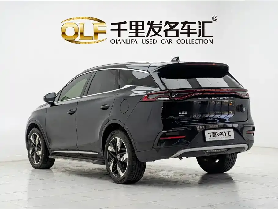 BYD Tang New Energy — фото 2