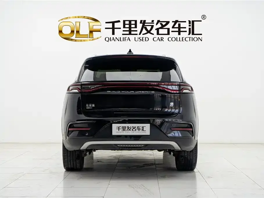 BYD Tang New Energy — фото 8