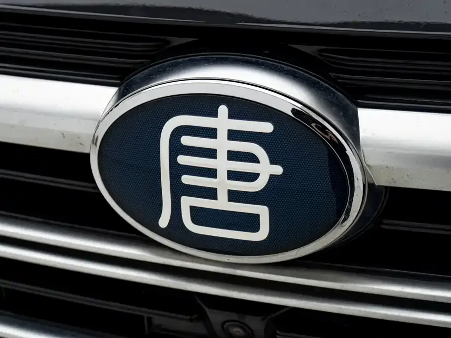 BYD Tang New Energy — фото 4