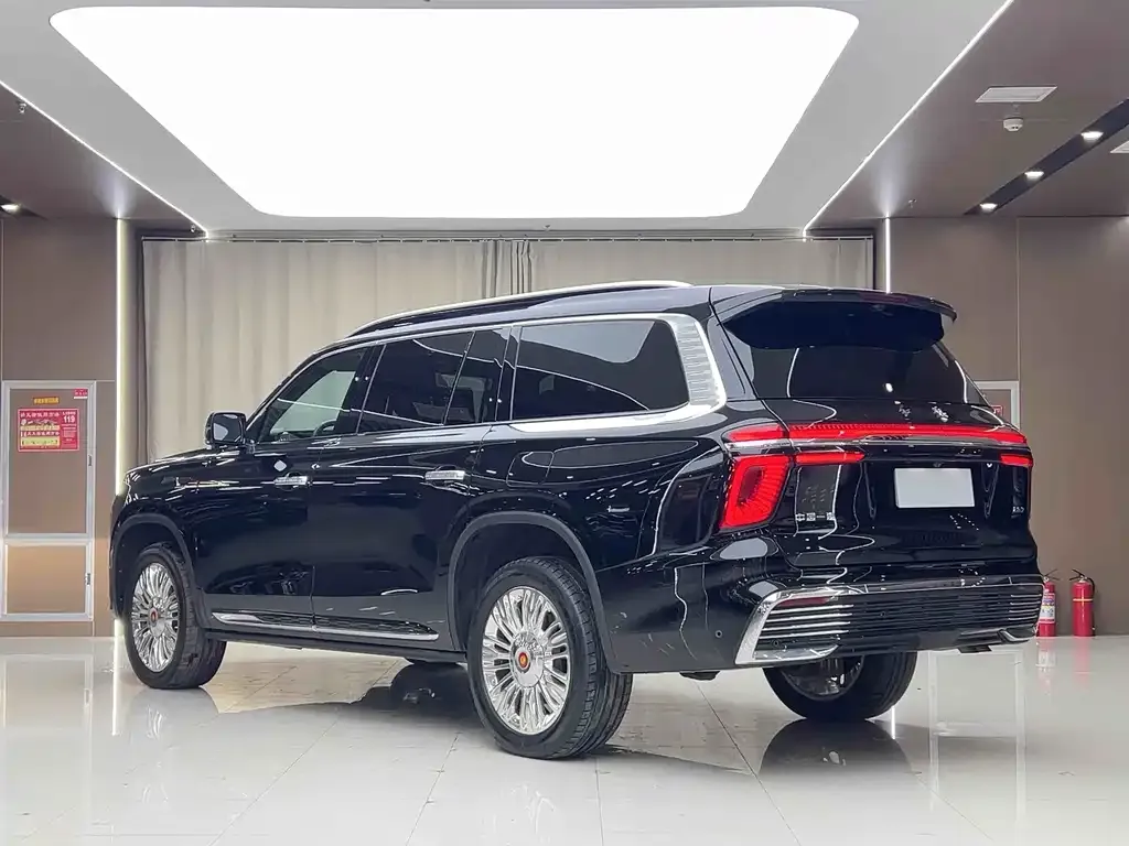 Hongqi Golden Sunflower Guoyao 2022 из CN, фото 3