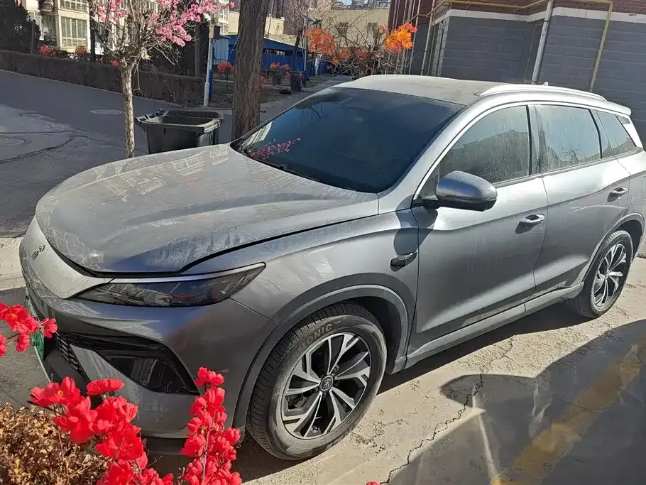 BYD Pro New Energy 2025 из CN, фото 1