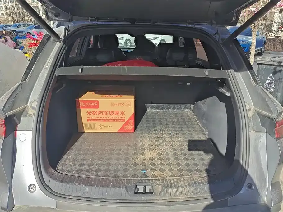 BYD Pro New Energy 2025 из CN, фото 6