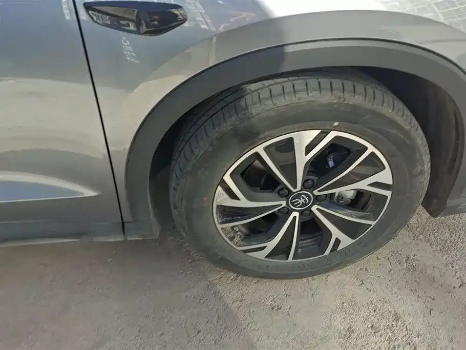 BYD Pro New Energy 2025 из CN, фото 3