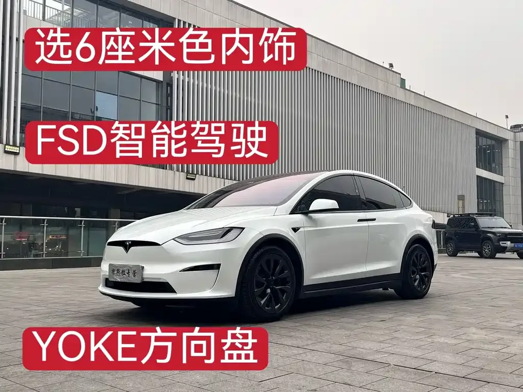 Tesla Model X 2023 из CN, фото 4