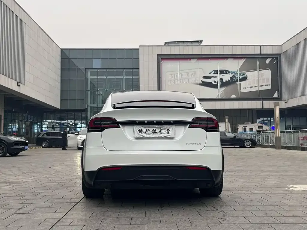 Tesla Model X 2023 из CN, фото 5