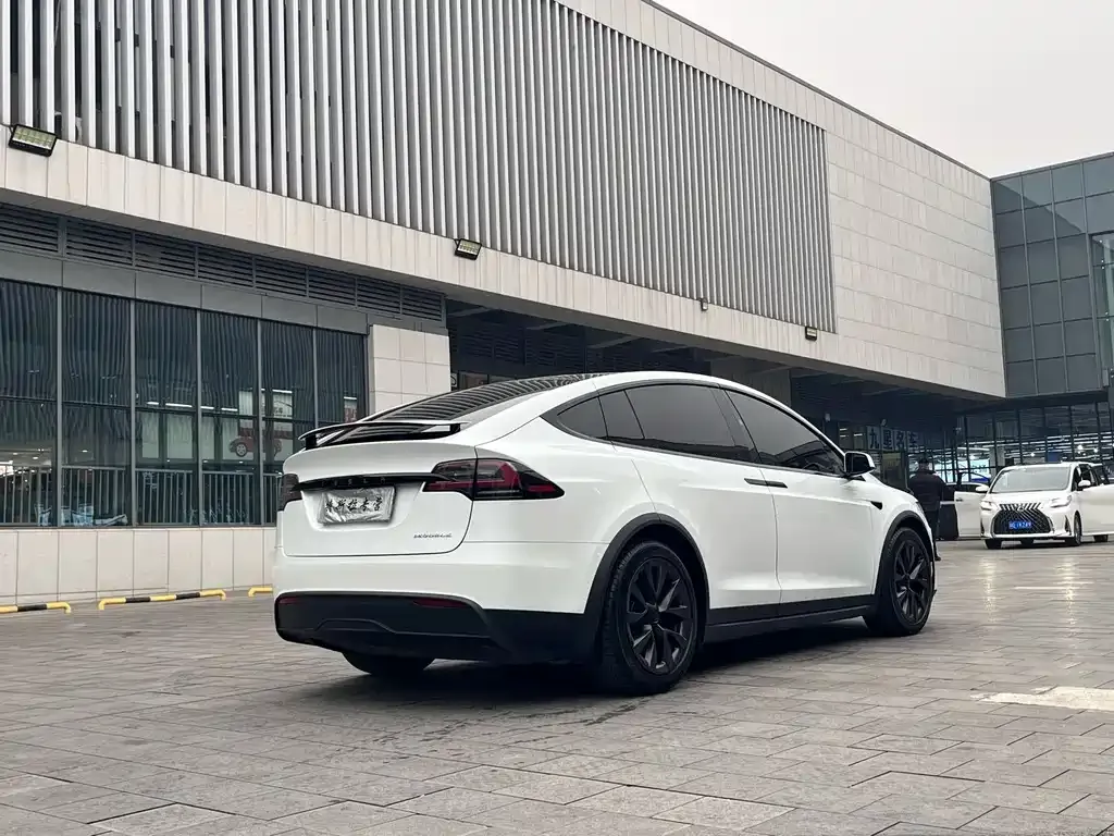 Tesla Model X 2023 из CN, фото 6