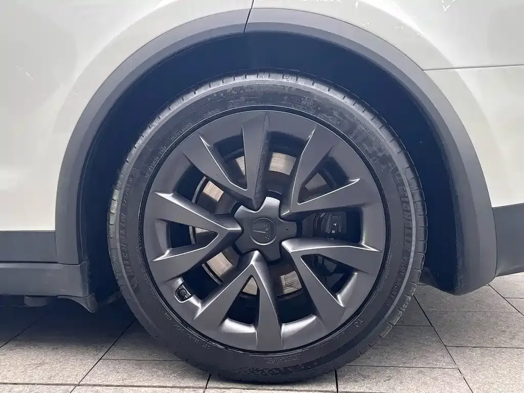Tesla Model X 2023 из CN, фото 8