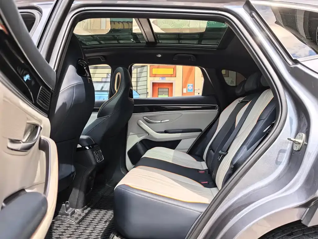 BYD PLUS New Energy 2023 из CN, фото 6