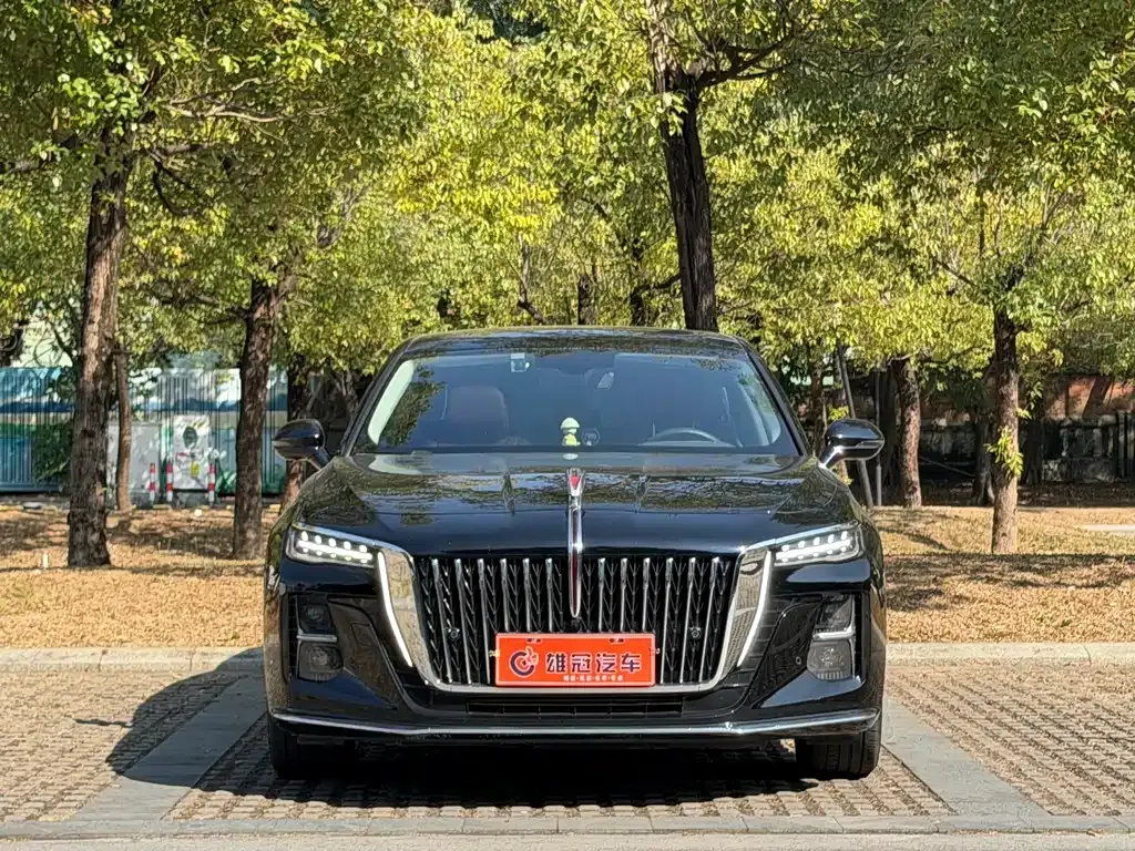 Hongqi H5 — фото 8