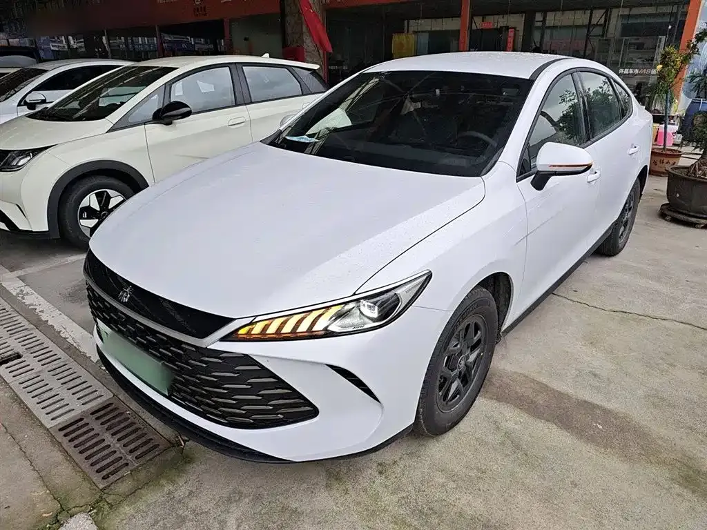 BYD Qin PLUS — фото 2