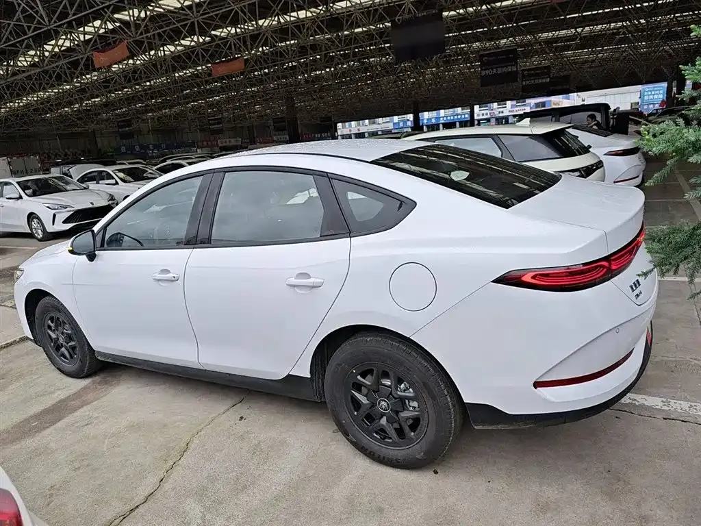 BYD Qin PLUS — фото 5