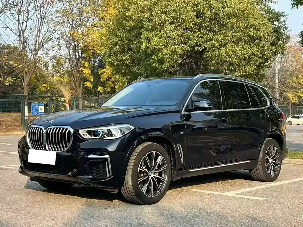 BMW X5 2023 из CN, фото 1