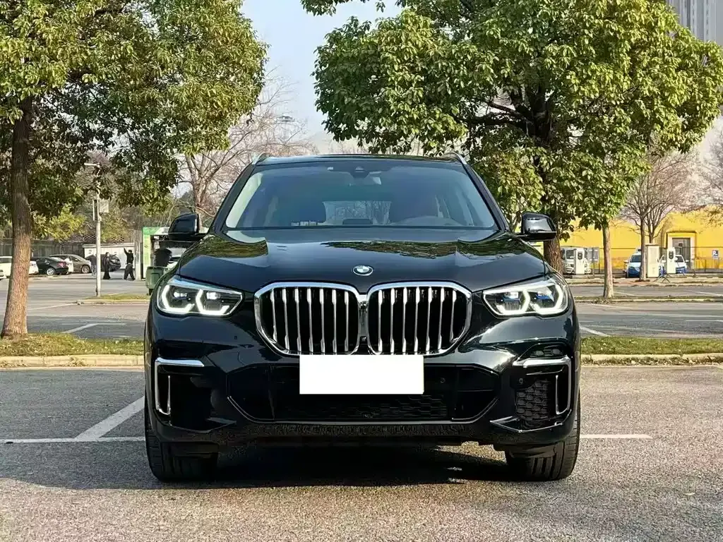 BMW X5 2023 из CN, фото 3