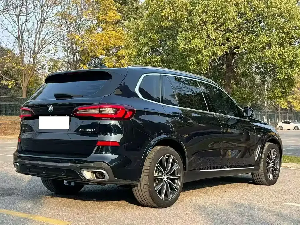 BMW X5 2023 из CN, фото 4
