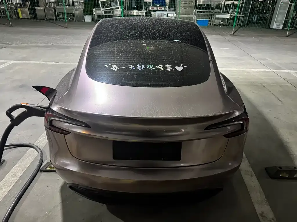 Tesla Model 3 2024 из CN, фото 5