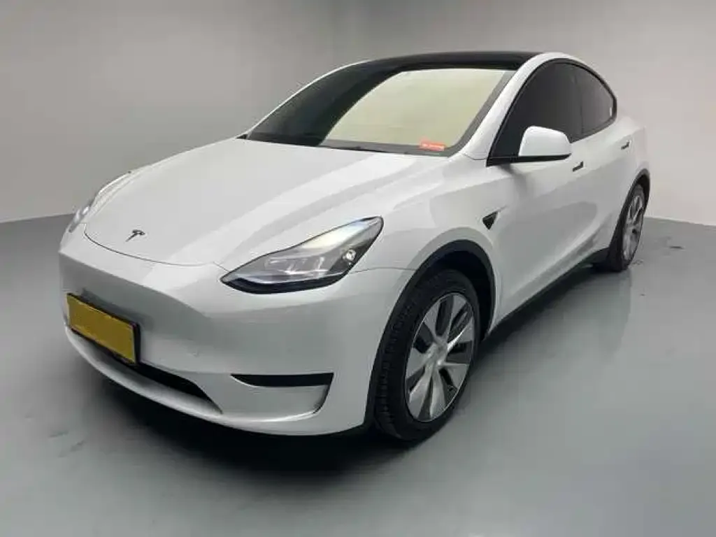 Tesla Model Y 2022 из CN, фото 1
