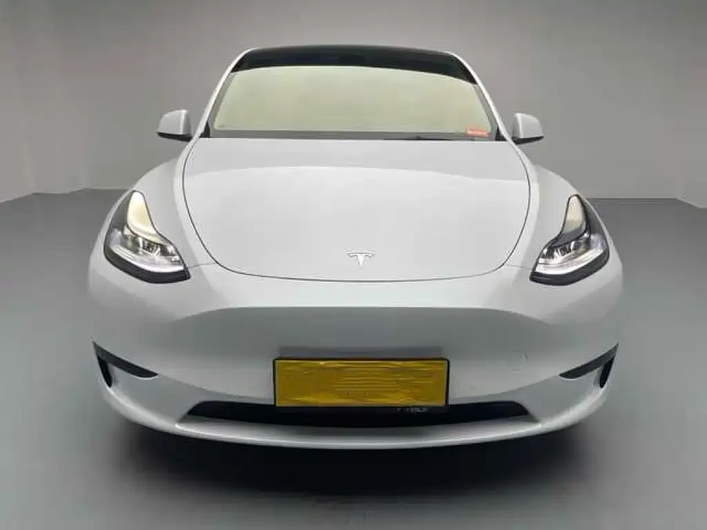 Tesla Model Y 2022 из CN, фото 2