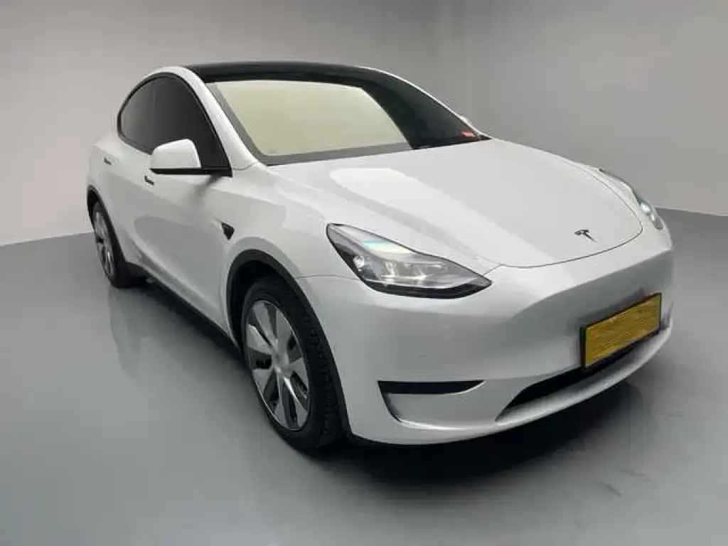 Tesla Model Y 2022 из CN, фото 3